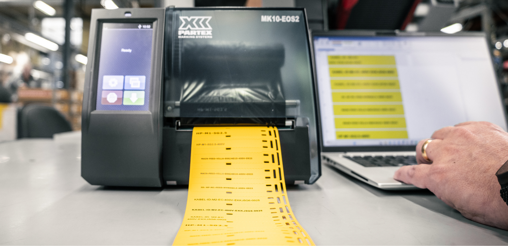 Newslettery (17).png