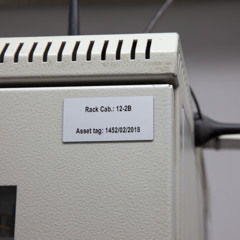 sesja_142.jpg
